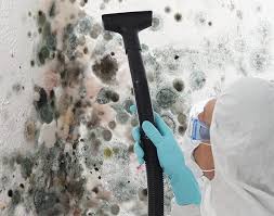 Best Real Estate Mold Inspection  in USA